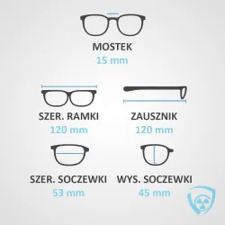 Okulary Ochronne RTG Panoramiczne – Ochrona Wzroku | Coradika